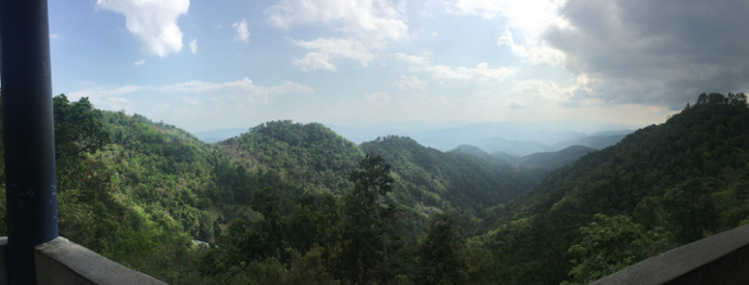 Adventuring through the jungle & winding along Samoeng Loop