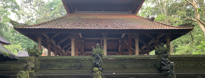 Working across from the Monkey Forest & Ubud temples