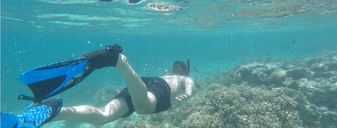 A day snorkelling little islands around Labuan Bajo