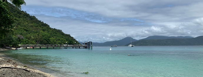 Coral shores & rainforest at Fitzroy Island