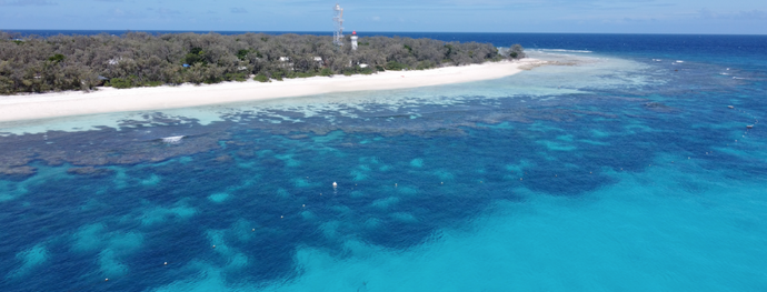 Lady Elliot Island—My favourite chapter yet