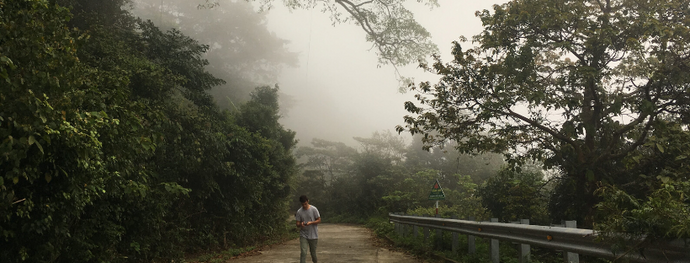 Into the Wild at Son Tra Mountain