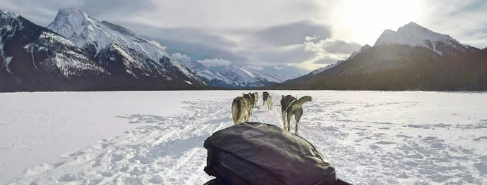 Dog sledding through the Canadian Rockies