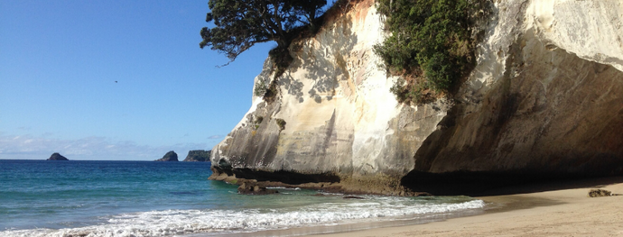 The cave that arcs over the beach at Cathedral Cove