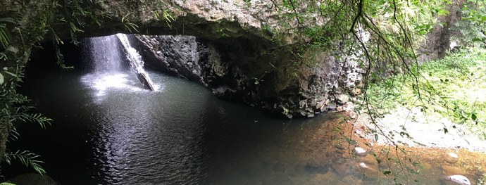 The natural bridge that houses glow worms